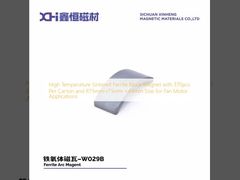 High Temperature Sintered Ferrite Block Magnet with 370pcs Per Carton and R75mm-r75mm ×44mm Size for Fan Motor Applications